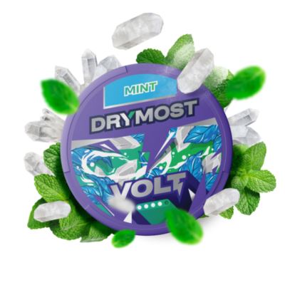 Woreczki nikotynowe DRYMOST Volt Mint 40mg