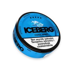 Woreczki nikotynowe ICEBERG Cool Mint 20mg/g B26