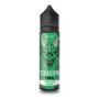 Longfill DRAGON FRESH 9/60ml Jabłko Aloes Menthol